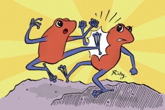 Fighting Frogs - from “Eco Kids Planet” (Dip pen with Ink / Photoshop)
