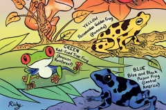A Rainbow of Frogs (Almost) - from “Eco Kids Planet” (Dip pen with Ink / Photoshop)