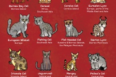 Small Wild Cats - from “Eco Kids Planet” (Dip pen with Ink / Photoshop)