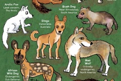 Wild Dogs - from “Eco Kids Planet” (Dip pen with Ink / Photoshop)